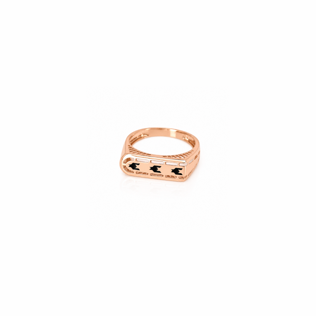 Baltic Ring